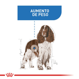 CCN MEDIUM LIGHT WEIGHT CARE - PERRO.png
